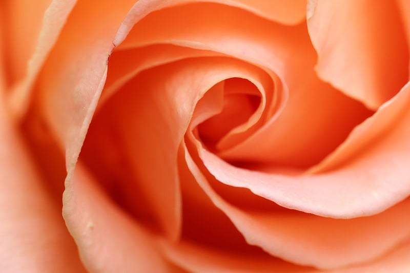 Floral Fables
